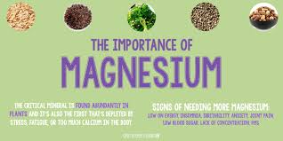 Higher Serum Magnesium Levels Linked with Decreased Artery Calcification